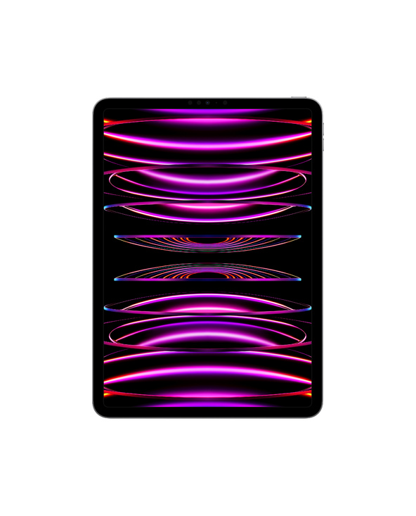 Apple iPad PRO 11" 512 Go Gris