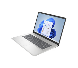 HP 17-CP3010NF 17.3" AMD Ryzen 7 16 Go Argent 1 To