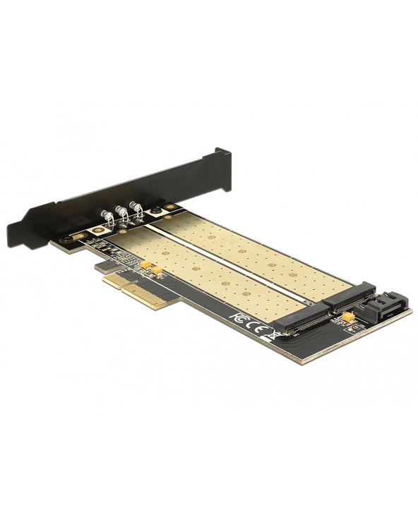 DeLOCK 89630 carte et adaptateur d'interfaces Interne M.2, SATA