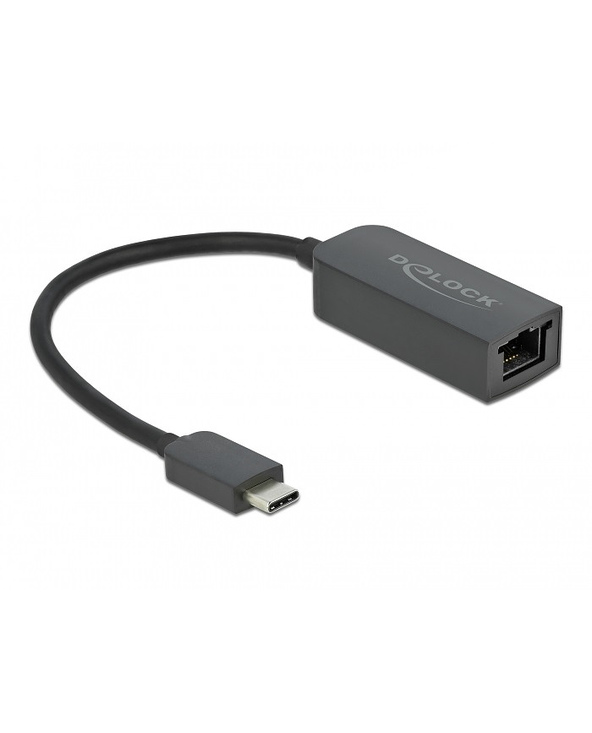 DeLOCK Adaptateur USB Type-C mâle vers 2,5 Gigabit LAN compact
