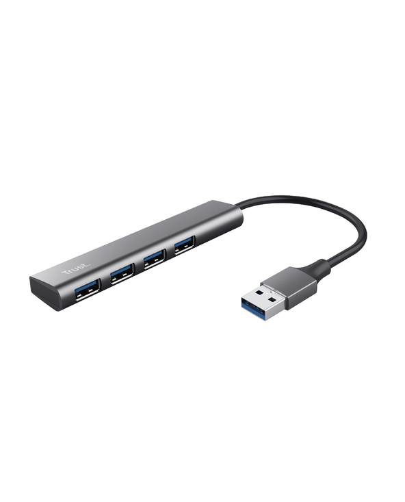 Trust Halyx USB 3.2 Gen 1 (3.1 Gen 1) Type-A 5 Mbit/s Noir, Gris
