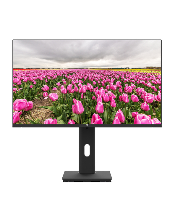 V7 MONITEUR IPS 23.8 PO FHD 1920 X 1080 23.8 LED Full HD 5 ms Noir
