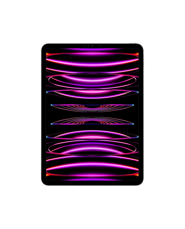 Apple iPad PRO 11" 128 Go Gris