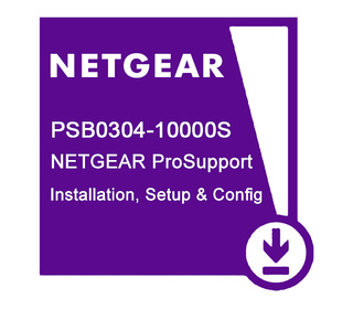 NETGEAR PSB0304 1 licence(s)