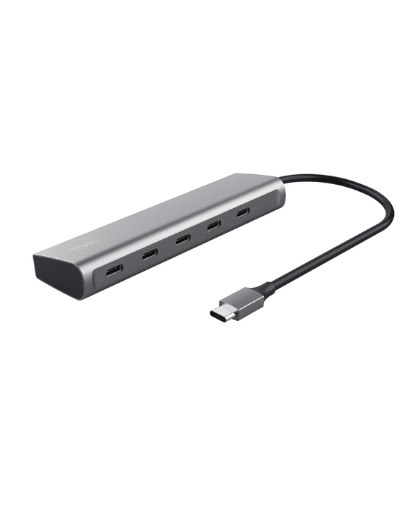 Trust Halyx USB 3.2 Gen 1 (3.1 Gen 1) Type-C Argent
