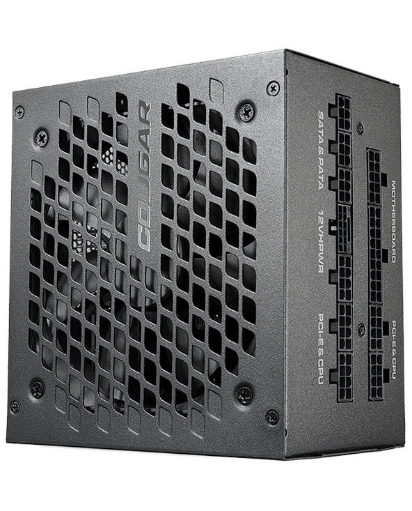 COUGAR Gaming GEX X2 1000 unité d'alimentation d'énergie 1000 W 20+4 pin ATX ATX Noir