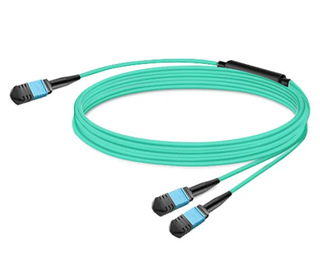 Nvidia MFP7E20-N015 câble InfiniBand et à fibres optiques 15 m MPO 2x MPO Bleu