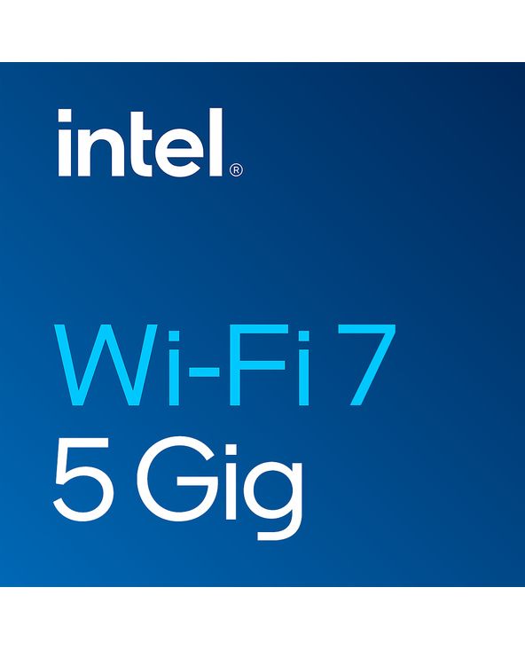 Intel Wi-Fi 7 BE200 Interne WLAN / Bluetooth 5800 Mbit/s