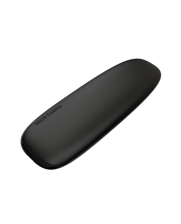 ASUS COBBLE Black (ESD-A1A/BLK) Enceinte ssd Noir M.2