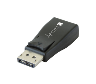 Techly IADAP DSP-230T changeur de genre de câble DisplayPort VGA Noir