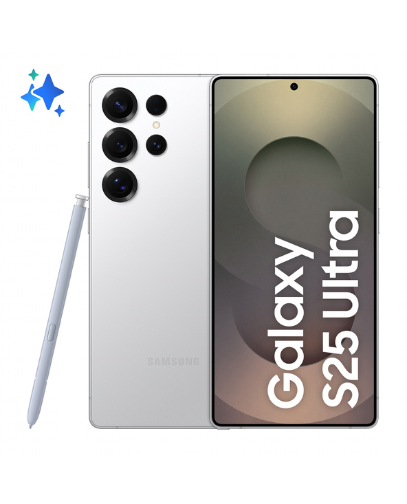 Samsung Galaxy S25 Ultra 6.9 256 Go Argent, Blanc