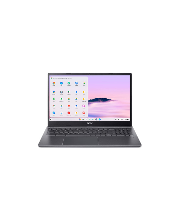 Acer Chromebook CBE595-2T-59ZT 15.6" I5 8 Go Gris 128 Go