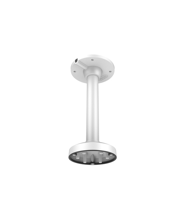 LevelOne CAS-7317 support et boîtier des caméras de sécurité
