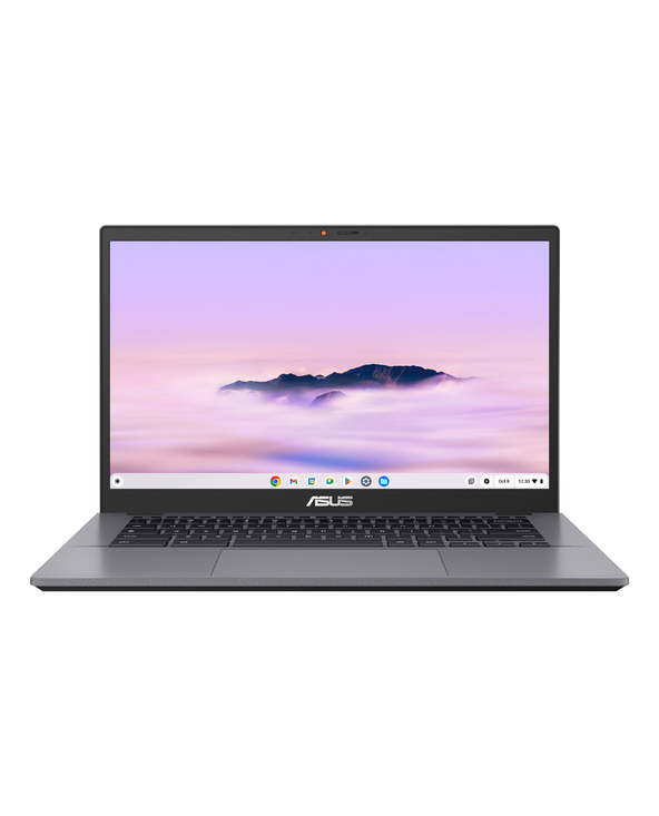 ASUS Chromebook CB3402CBA-MW0347 14" I5 8 Go Gris