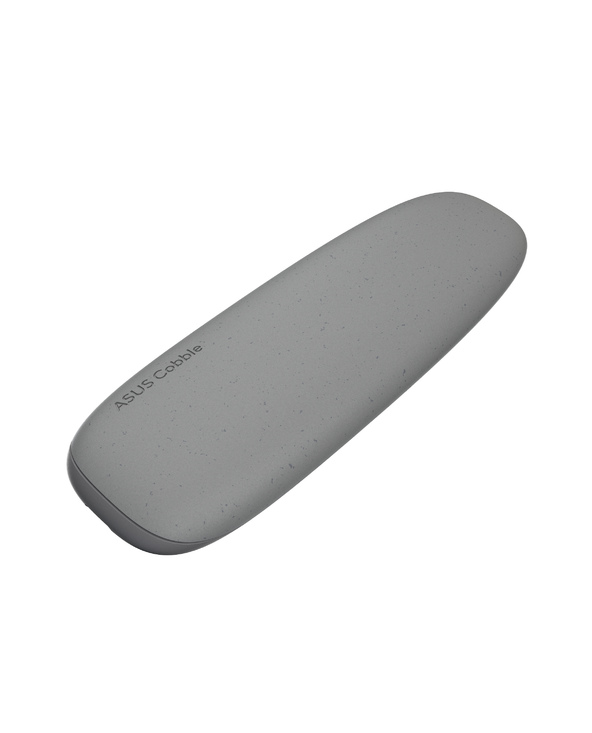 ASUS COBBLE Gray Enceinte ssd Gris M.2