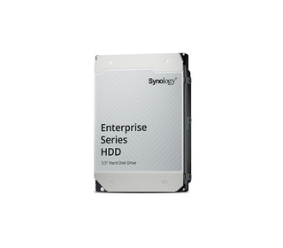 Synology Enterprise disque dur 20 To 7200 tr/min 512 Mo 3.5" Série ATA III