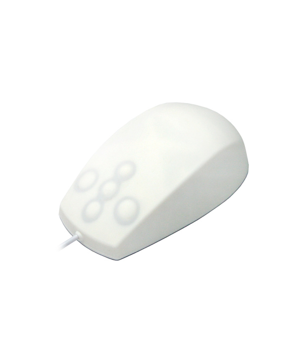 Active Key AK-PMT2 souris USB Type-A Optique 800 DPI