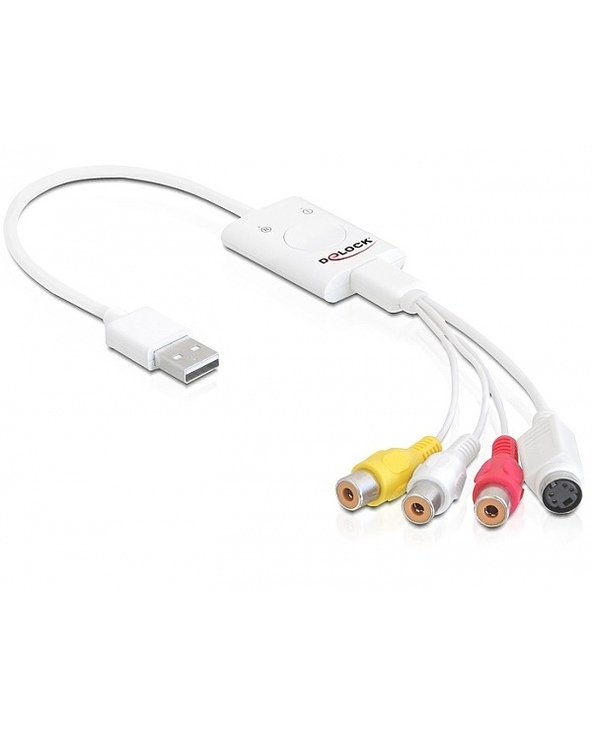 DeLOCK 61894 adaptateur graphique USB Blanc