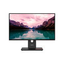 Lenovo ThinkVision T24-40 23.8" LCD Full HD 6 ms Noir
