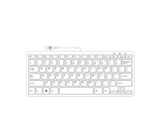 R-Go Tools Clavier ergonomique R-Go Compact, design plat, mini-clavier, QWERTY (US), filaire, noir