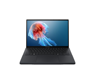 ASUS Zenbook UX8406CA-PZ172X 14" Intel Core Ultra 9 32 Go Gris 1 To