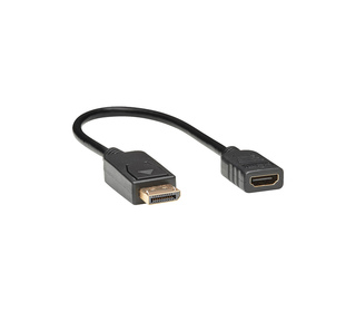 Tripp Lite P136-001 câble vidéo et adaptateur 0,3 m DisplayPort HDMI Noir