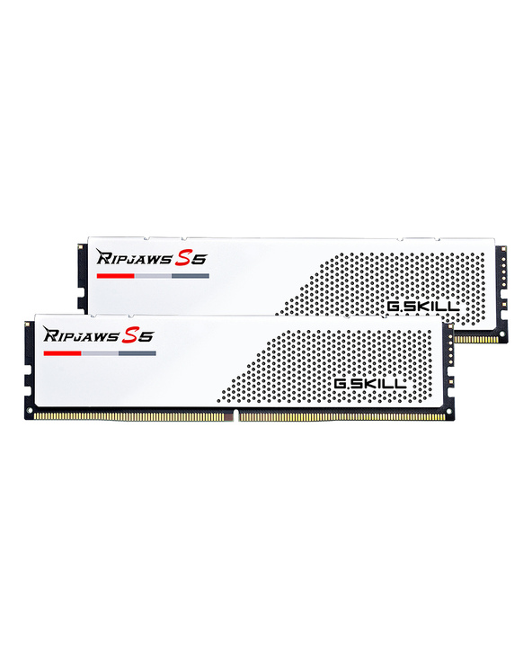 G.Skill F5-6000J3036F24GX2-RS5W module de mémoire 48 Go 2 x 24 Go DDR5 6000 MHz