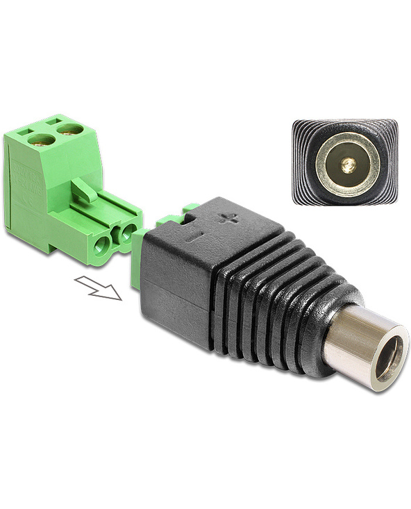 DeLOCK 65423 changeur de genre de câble DC 2.1 x 5.5 mm 2p Noir, Vert