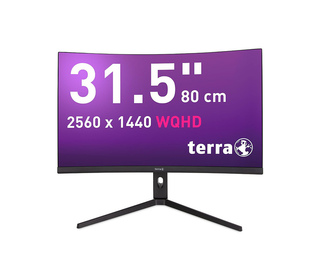 TERRA 3285W 31.5" LCD Wide Quad HD 1 ms Noir
