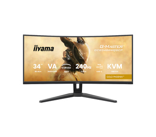 iiyama G-MASTER GCB3486WQSCP-B1 34" 4K Ultra HD 0,4 ms Noir