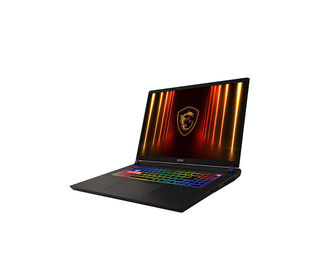 MSI Vector 17 HX AI A2XWIG-010FR 17" Intel Core Ultra 9 32 Go Gris 2 To