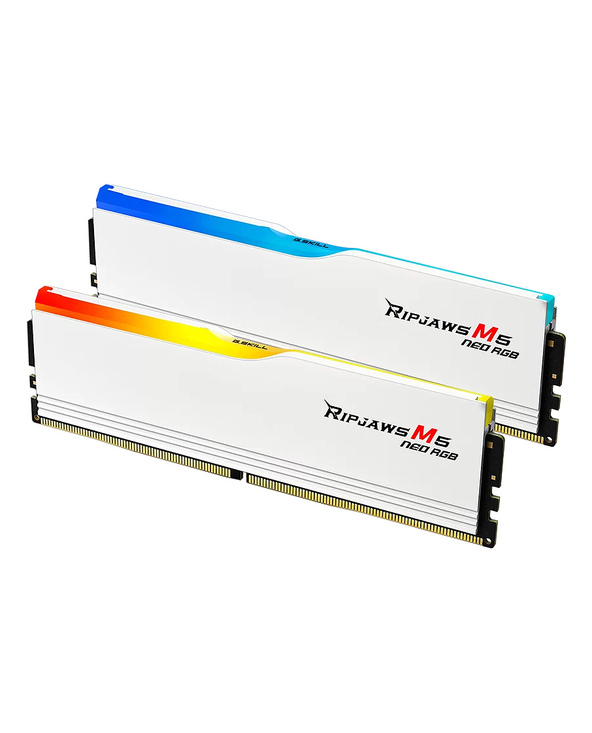 G.Skill Ripjaws M5 RGB F5-6000J3648D16GX2-RM5NRW module de mémoire 32 Go 2 x 16 Go DDR5