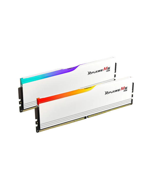 G.Skill Ripjaws M5 RGB F5-6000J2836G16GX2-RM5RW module de mémoire 32 Go 2 x 16 Go DDR5