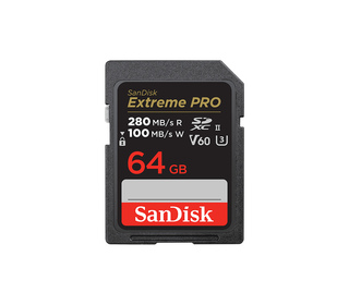 SanDisk SDSDXEP-064G-GN4IN mémoire flash 64 Go SDXC UHS-II Classe 10