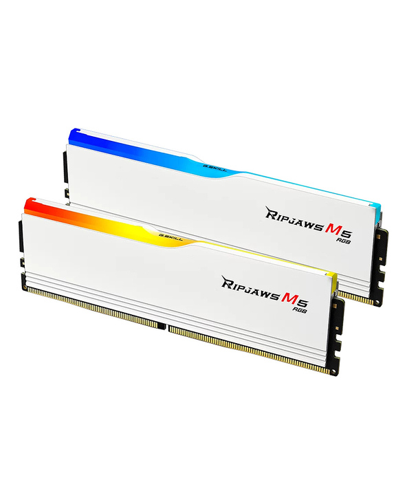 G.Skill Ripjaws M5 RGB F5-6000J3636F16GX2-RM5RW module de mémoire 32 Go 2 x 16 Go DDR5 6000 MHz