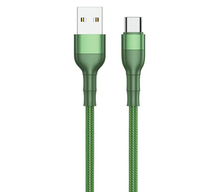 2GO 797309 câble USB 1 m USB B USB C Vert