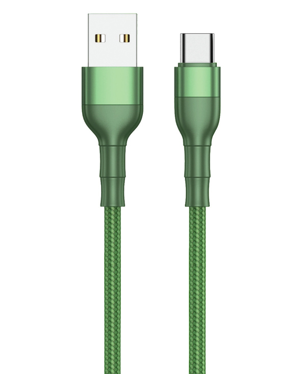 2GO 797309 câble USB 1 m USB B USB C Vert