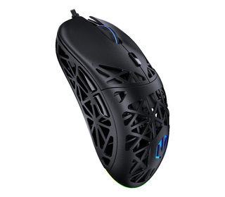 ENDORFY LIV souris Jouer Ambidextre USB Type-A Optique 12000 DPI