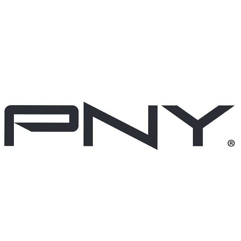 PNY P-FD256ATTX-GE lecteur USB flash