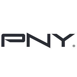 PNY P-FD512ATTX-GE lecteur USB flash