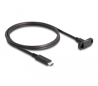 DeLOCK Câble SuperSpeed USB 10 Gbps (USB 3.2 Gen 2) USB Type-C, mâle à femelle, 1 m, panneau de montage noir