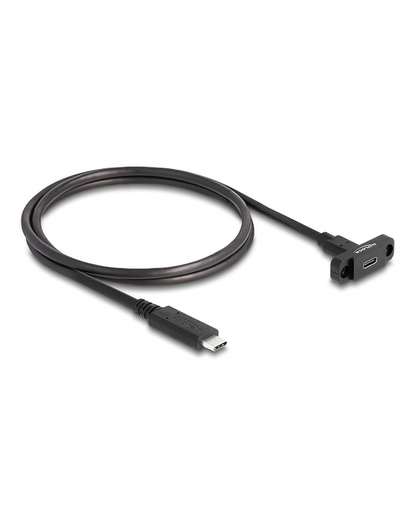 DeLOCK Câble SuperSpeed USB 10 Gbps (USB 3.2 Gen 2) USB Type-C, mâle à femelle, 1 m, panneau de montage noir