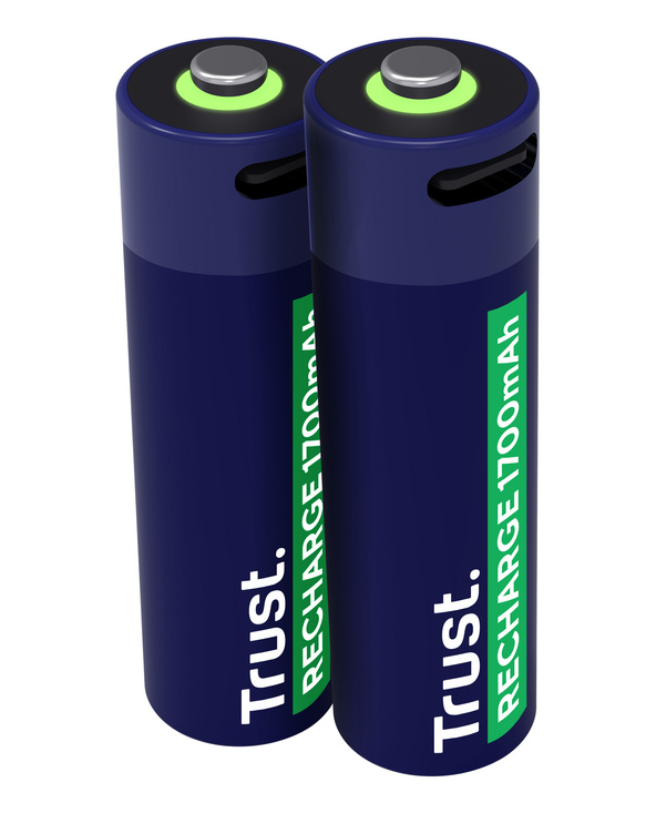 Trust 25584 pile domestique Batterie rechargeable AA