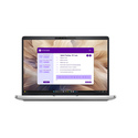 DELL Pro PB13250 13.3" Intel Core Ultra 5 16 Go Aluminium 512 Go