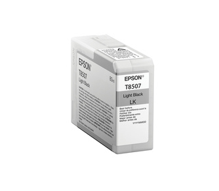 Epson Singlepack Light Black T850700