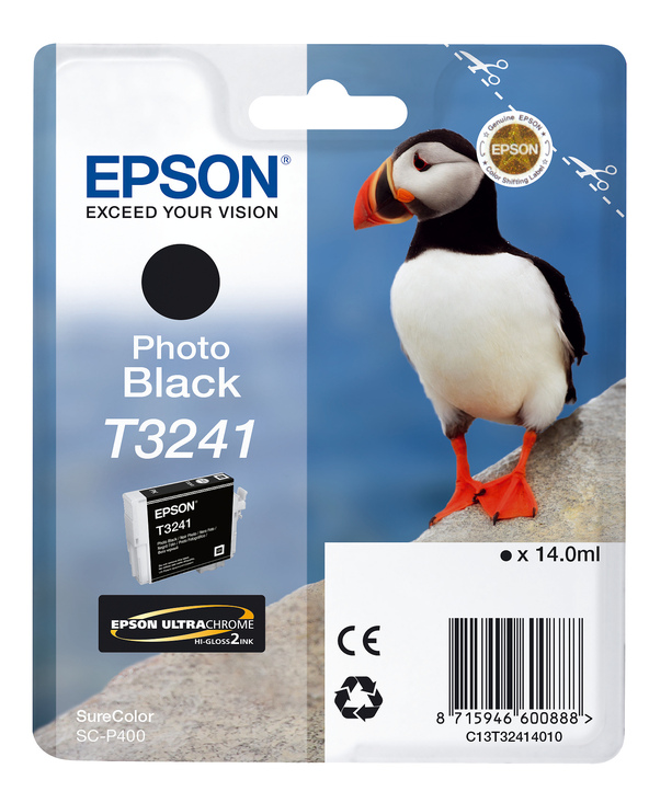 Epson T3241 Photo Black