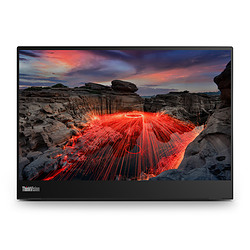 Lenovo ThinkVision M14T GEN 2 14" LED 2.2K 8 ms Noir