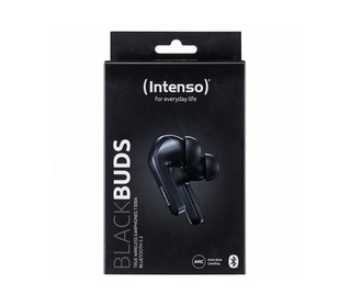 Intenso Black Buds T300A Écouteurs True Wireless Stereo (TWS) Ecouteurs Appels/Musique/Sport/Au quotidien USB Type-C Bluetooth N