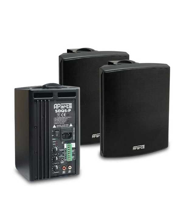 APart SDQ5P-BL haut-parleur Noir 60 W