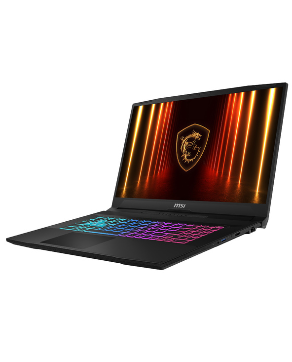 MSI Katana 17 HX B14WEK-008FR 17.3" I7 16 Go Noir 512 Go